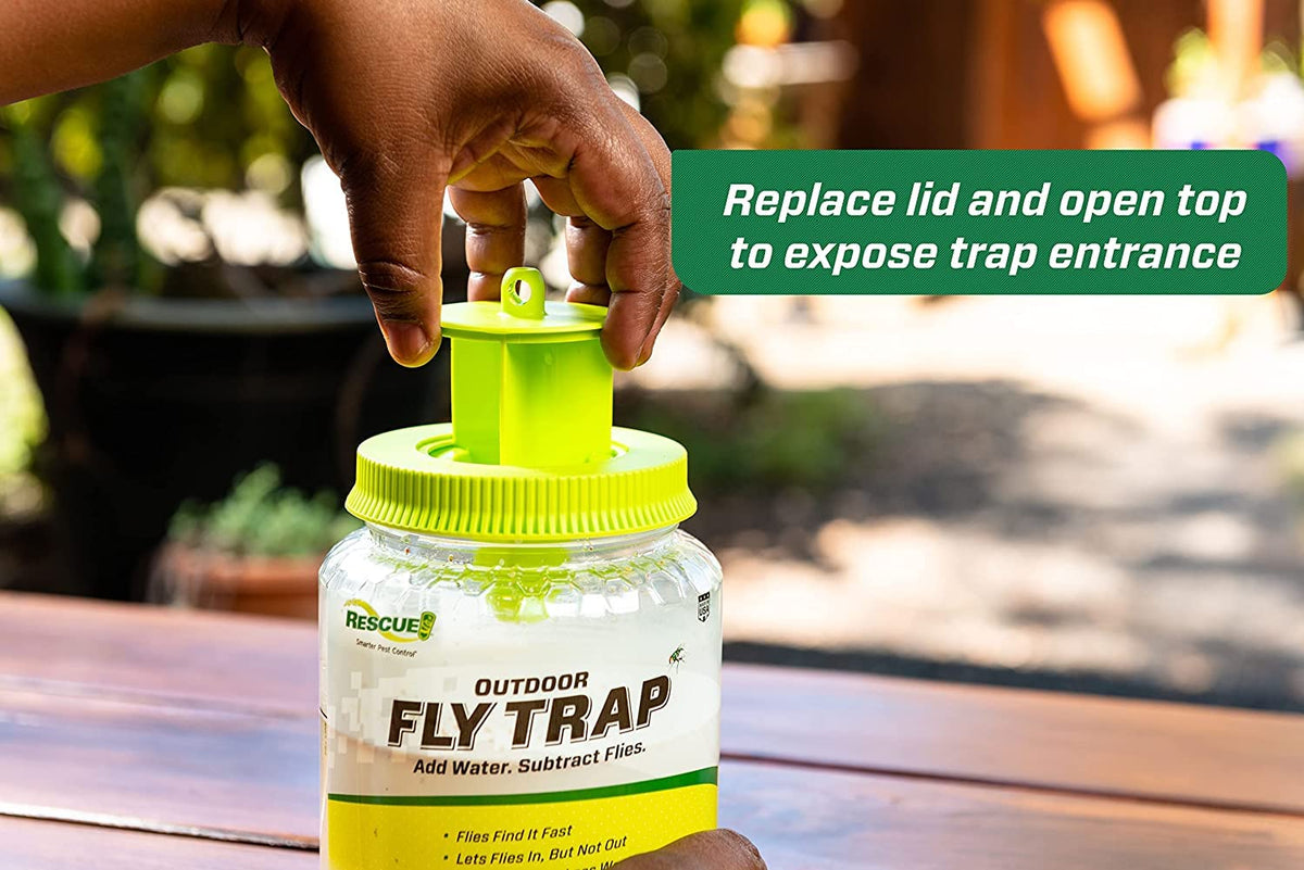 RESCUE garden and patio fly control with outdoor trap in action
