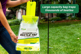 RESCUE! Trap panels lure beetles away from plants and into the bag.