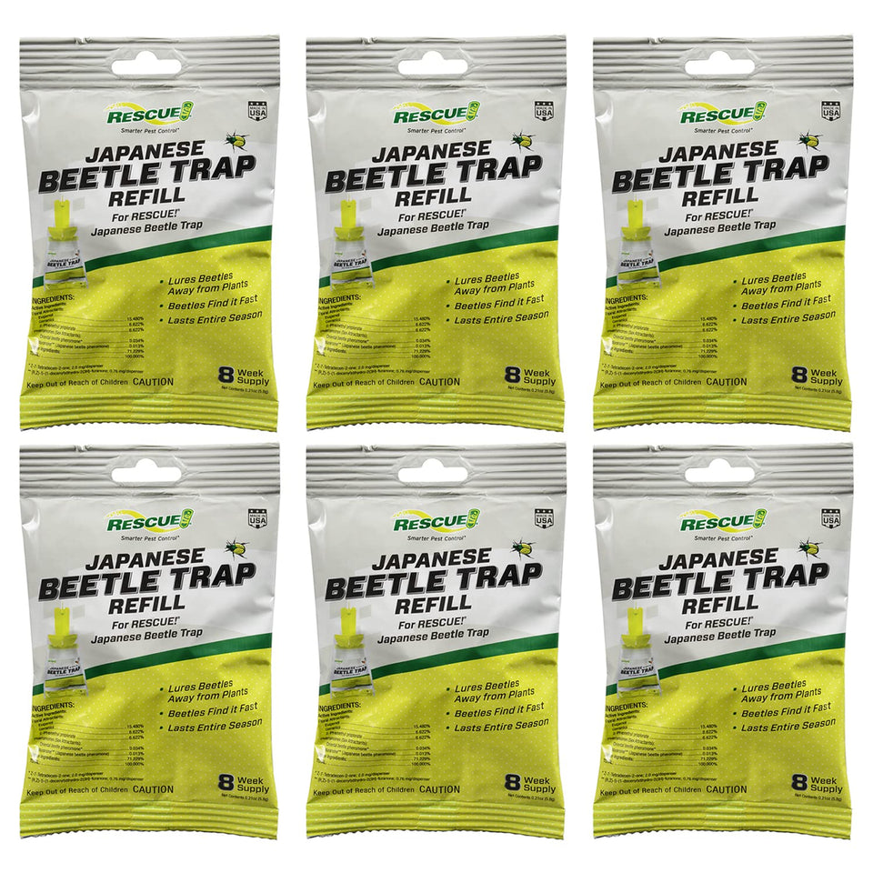 RESCUE! lure close-up attracting beetles to trap