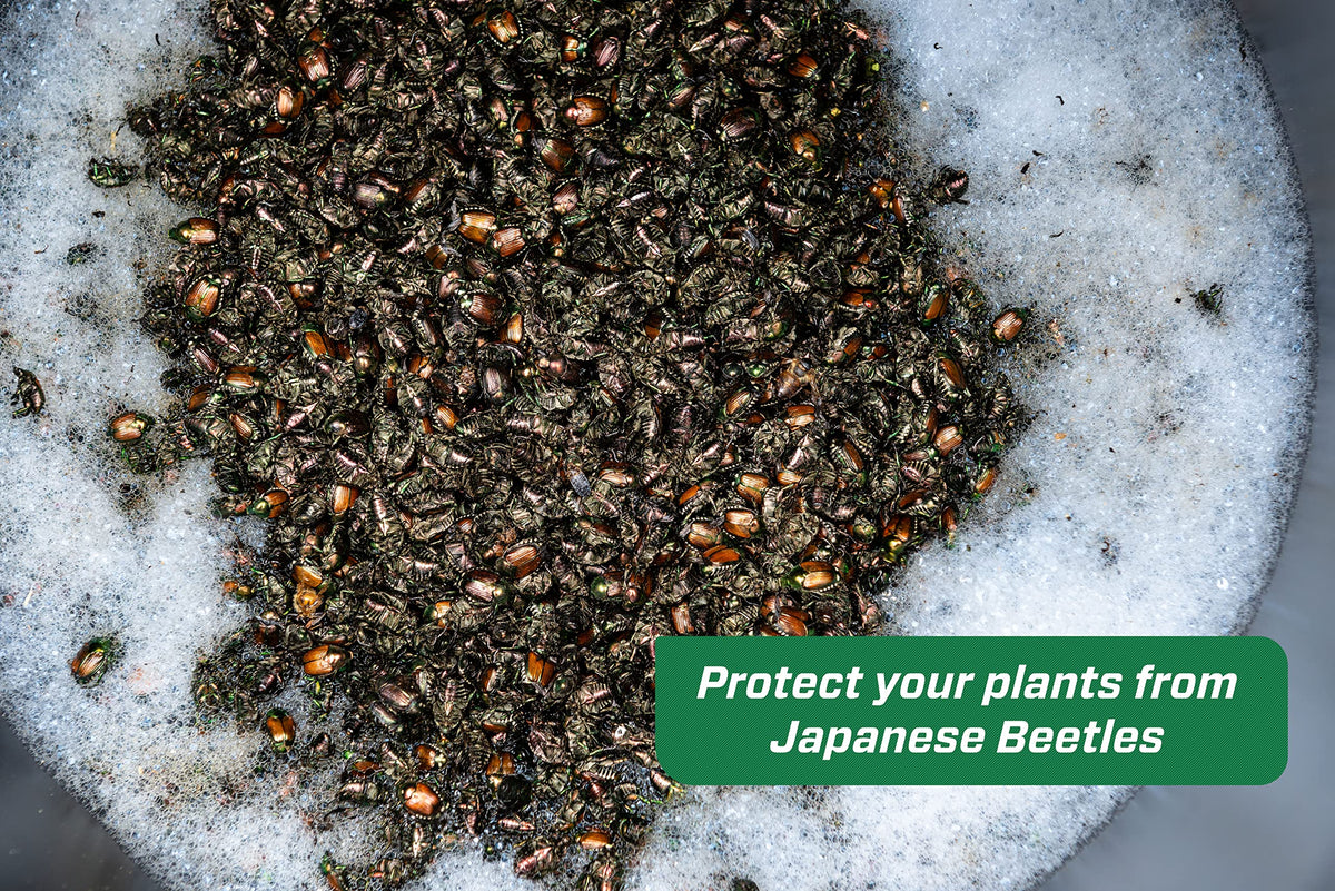 RESCUE! Trap placement at 30 feet from ornamentals protects valued plants.