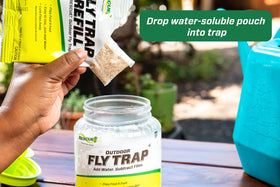 RESCUE! Outdoor fly-trap setup shows easy bait insertion and activation.