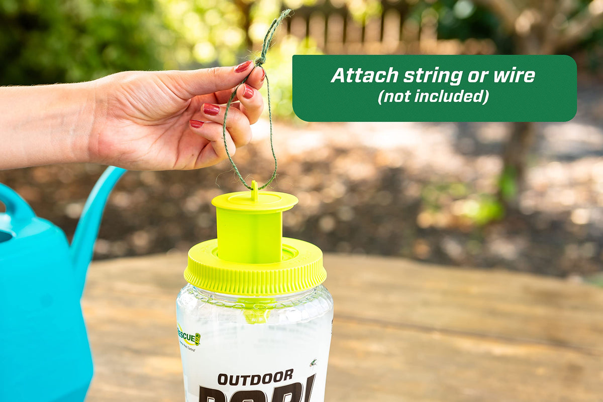 RESCUE! POP! Fly Trap made in USA highlights domestic manufacturing.