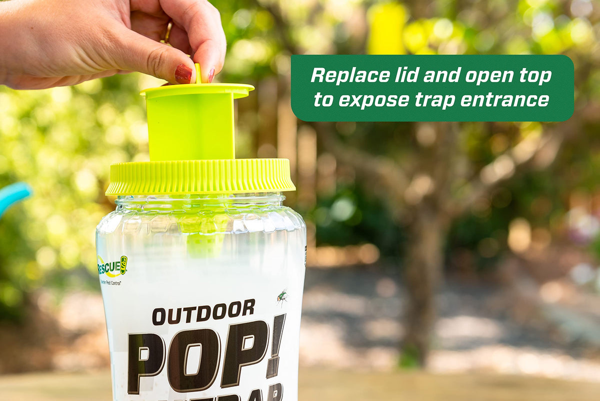 RESCUE! POP! Fly Trap outdoors in use for outdoor control.