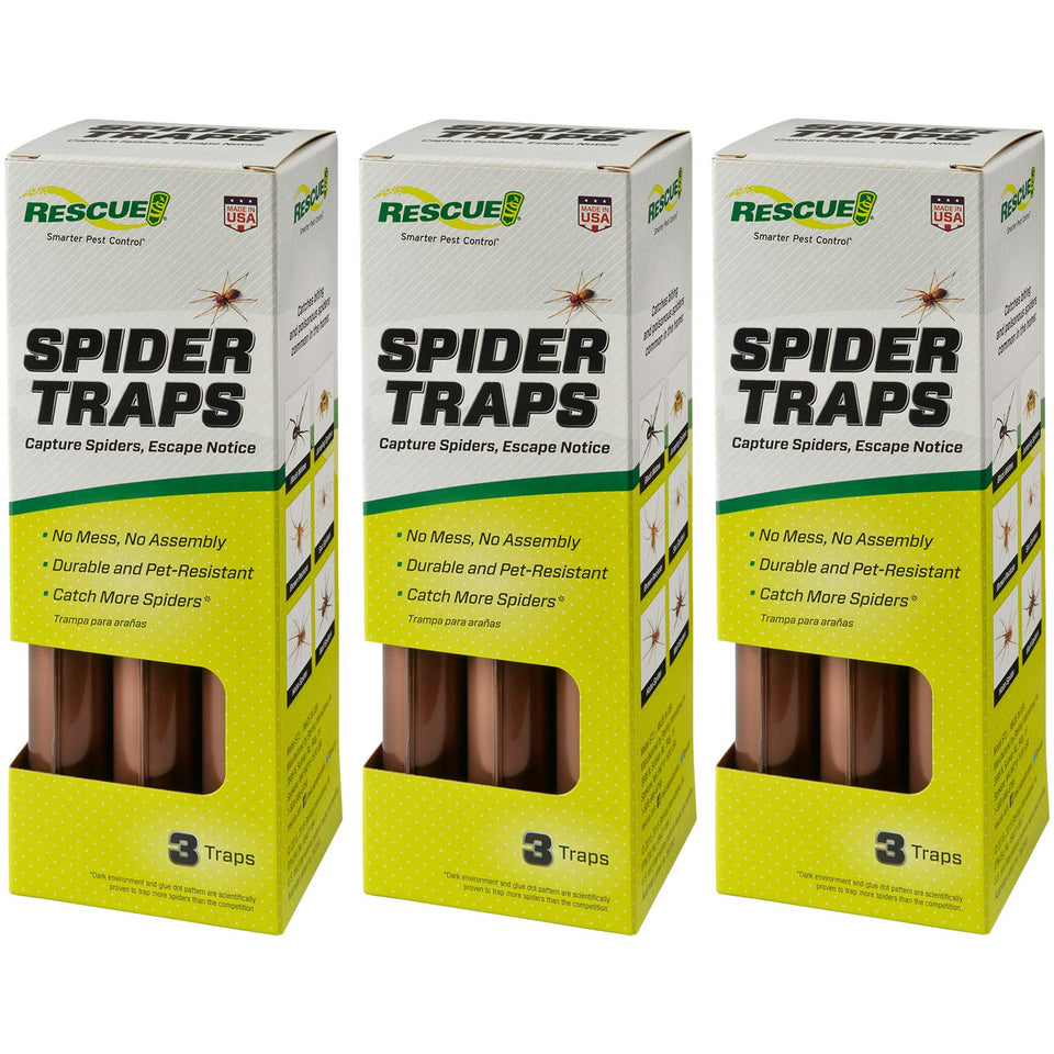 RESCUE! Spider Trap ready-to-use indoors, showcasing simple placement and convenience.