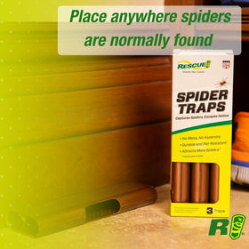 RESCUE! Spider Traps discreet shell blends with home décor.