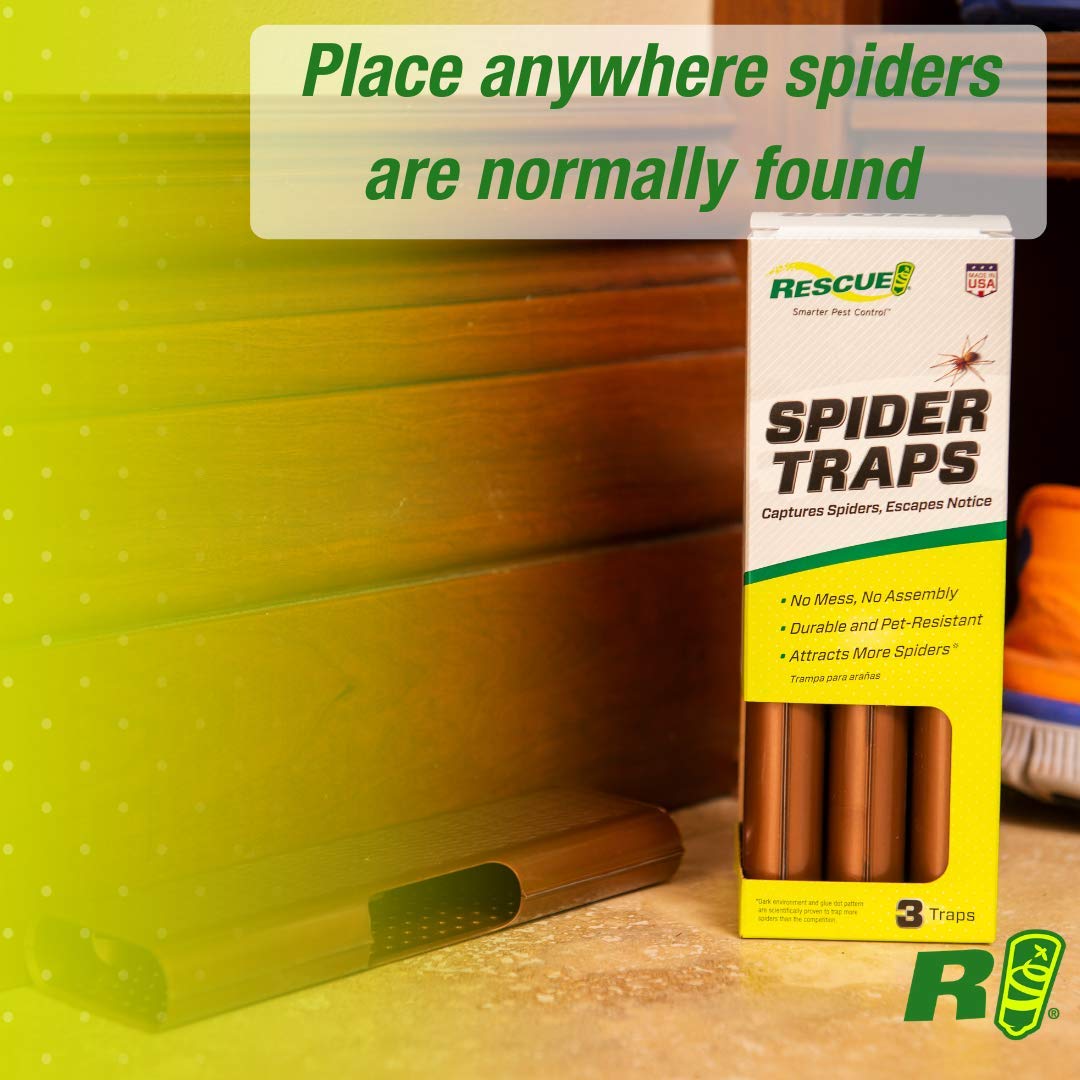 Discreet RESCUE Spider Traps shell blending with home decor