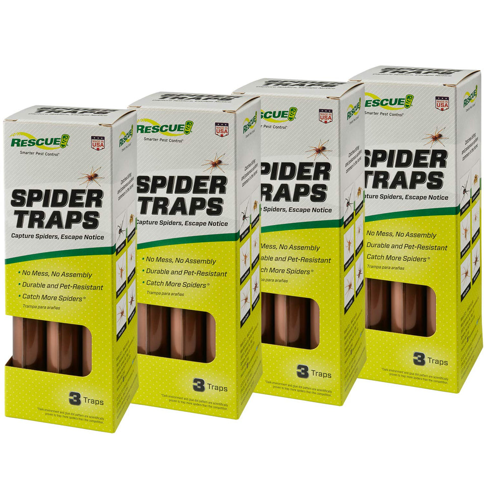 RESCUE Spider Traps with four entrances attract more spiders inside your home