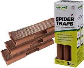 Close up of RESCUE Spider Traps glue dots for strong interior capture