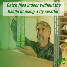 Indoor-use RESCUE! TrapStik is USA-made and free of odors.
