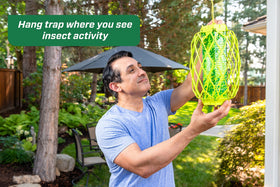 RESCUE! TrapStik outdoor-pest-protection for home exteriors.