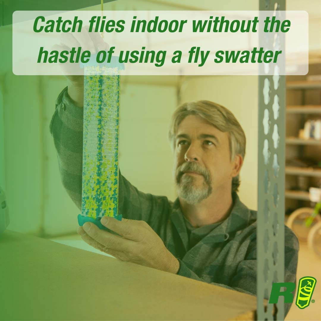 RESCUE! TrapStik 4-pack provides ongoing indoor protection.