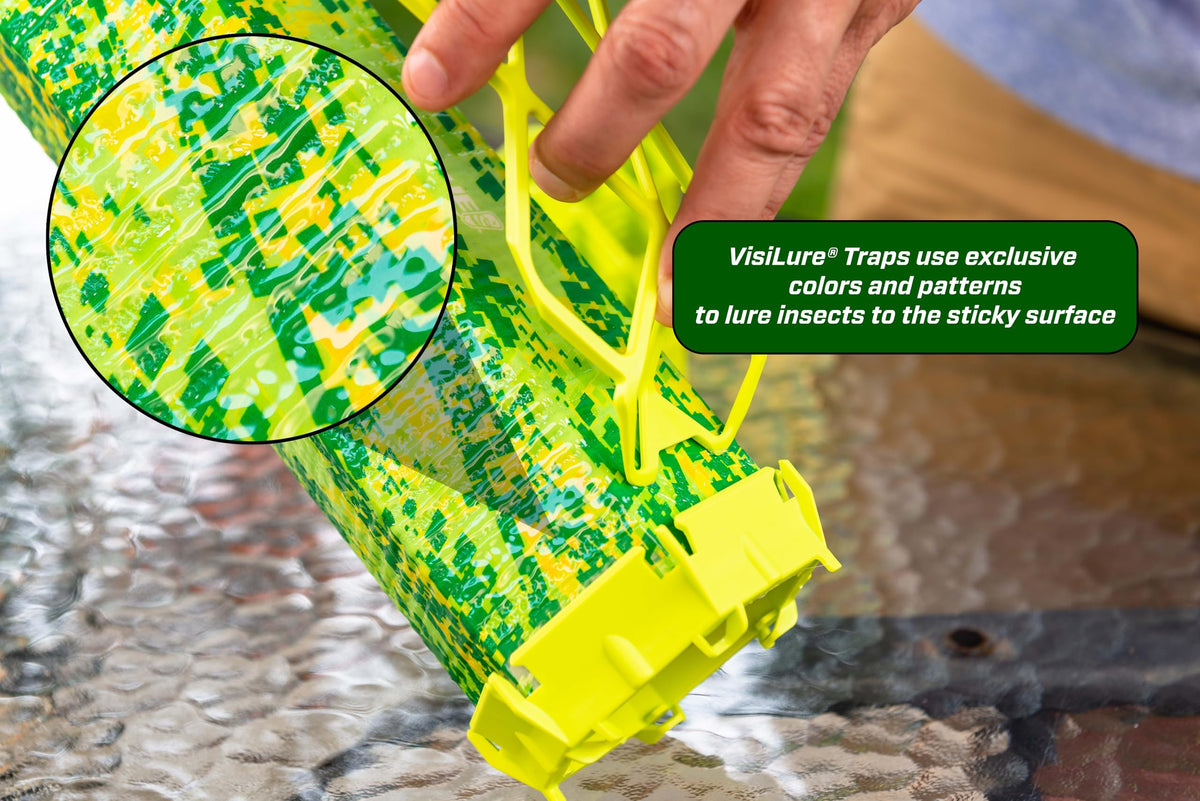 RESCUE! VisiLure TrapStik glue-guard detail reduces non-insect bycatch.