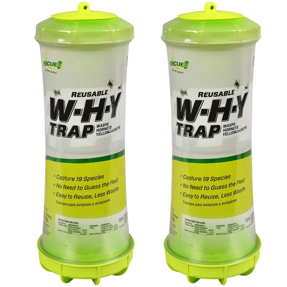 RESCUE! WHY Trap outdoors hanging setup attracts and traps wasps and hornets.