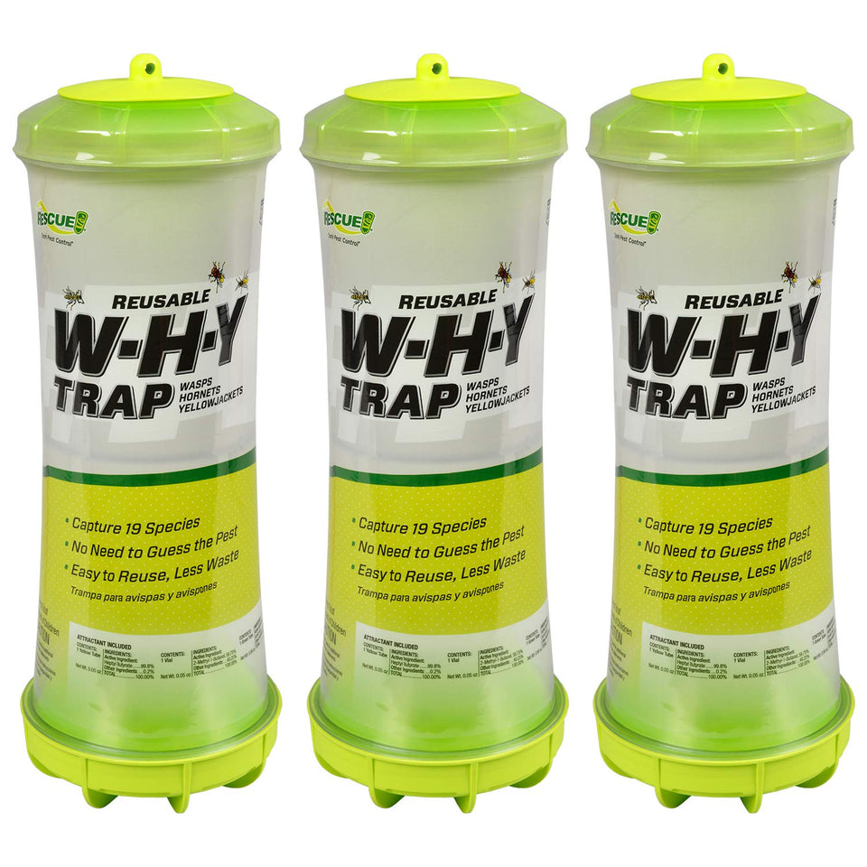 RESCUE! WHY Trap hanging outdoors demonstrates easy setup and protection.