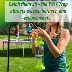 RESCUE! WHY Trap refill used outdoors to reduce nuisance insects without sprays.