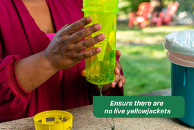 RESCUE! Yellowjacket Attractant designed to attract yellowjackets without attracting bees.