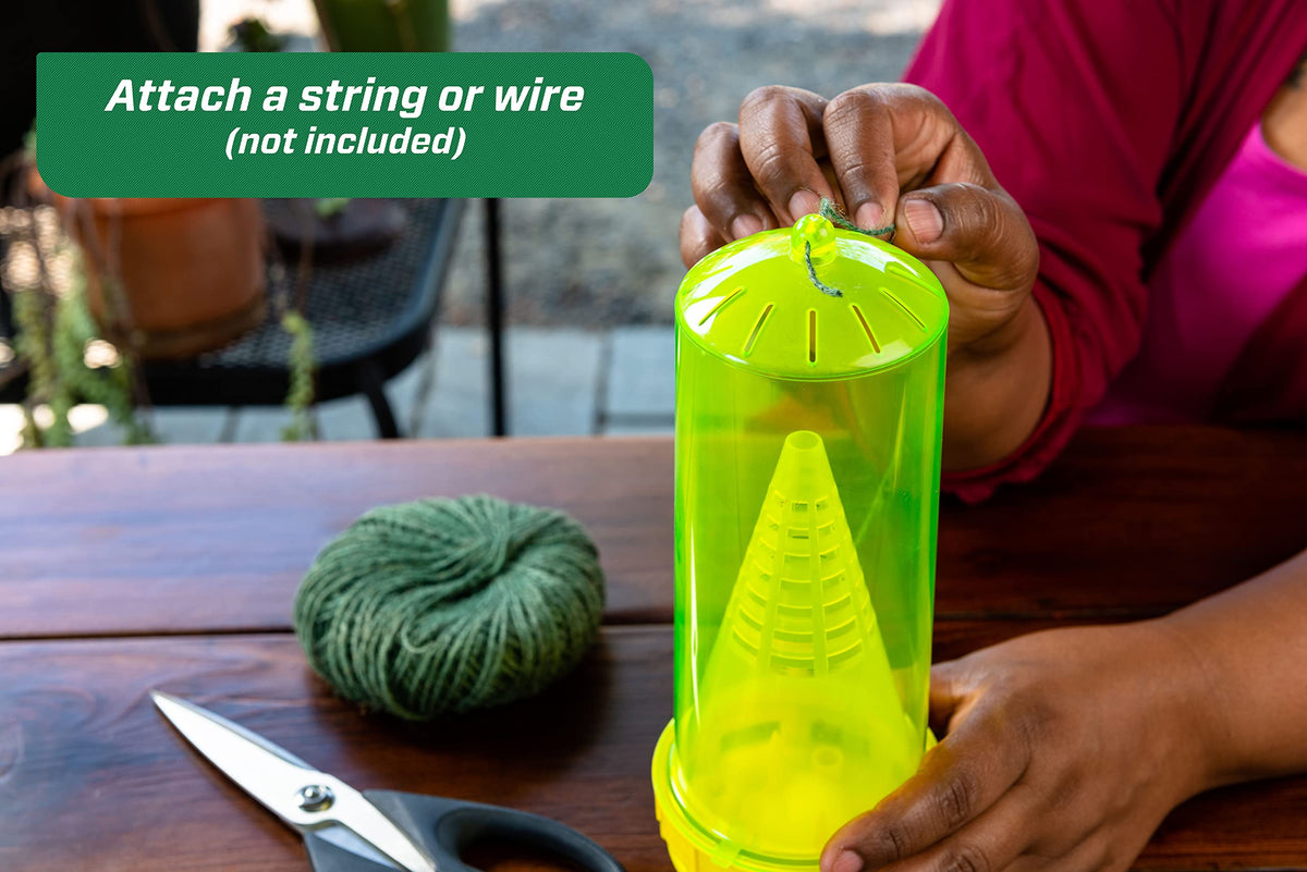 RESCUE! trap-installed-near-outdoor-areas supports safer gatherings.