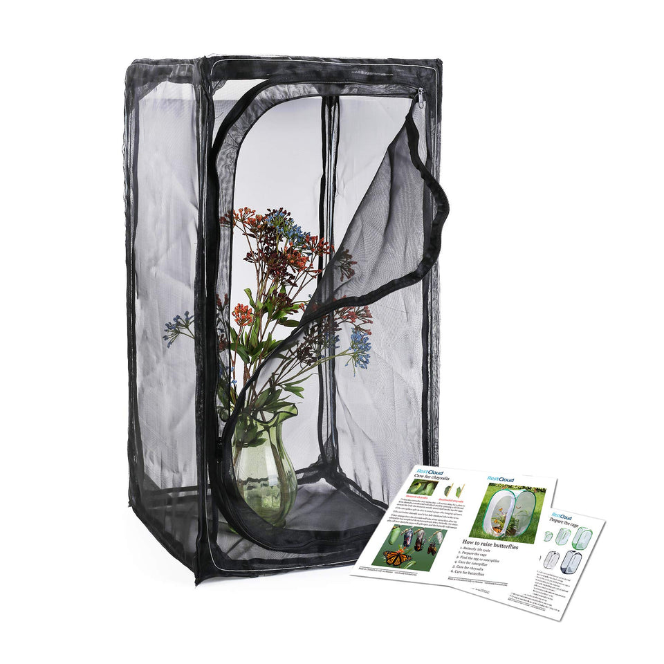 RESTCLOUD 30 inch monarch habitat opened for outdoor viewing and butterfly care.