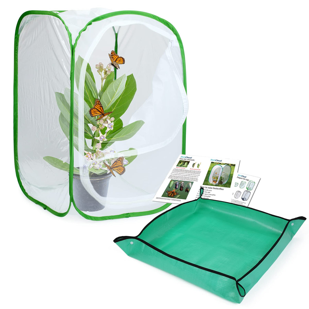 RESTCLOUD butterfly habitat assembly demonstrates sturdy setup for easy butterfly rearing and viewing.