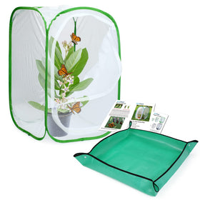 RESTCLOUD butterfly habitat assembly demonstrates sturdy setup for easy butterfly rearing and viewing.