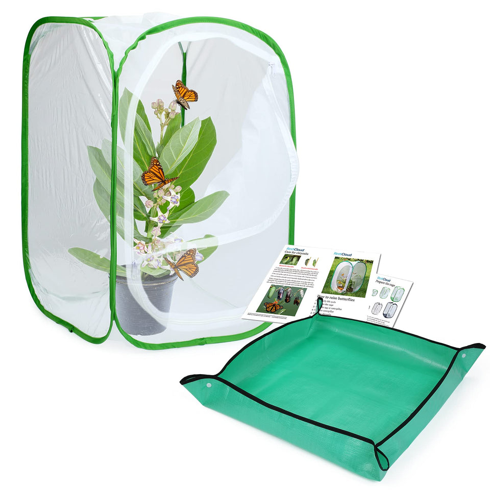 RESTCLOUD butterfly habitat assembly demonstrates sturdy setup for easy butterfly rearing and viewing.