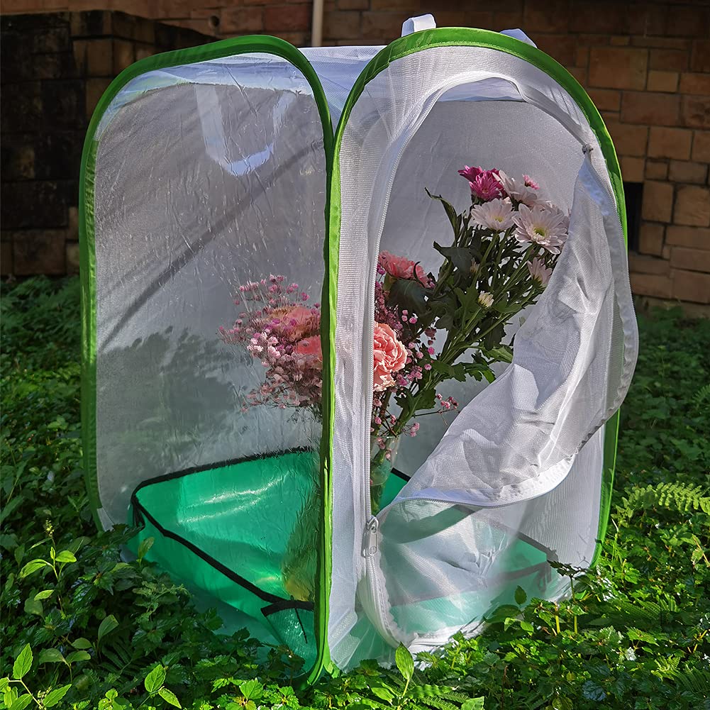 RESTCLOUD butterfly habitat open cage enables clear observation of caterpillars turning into chrysalides.