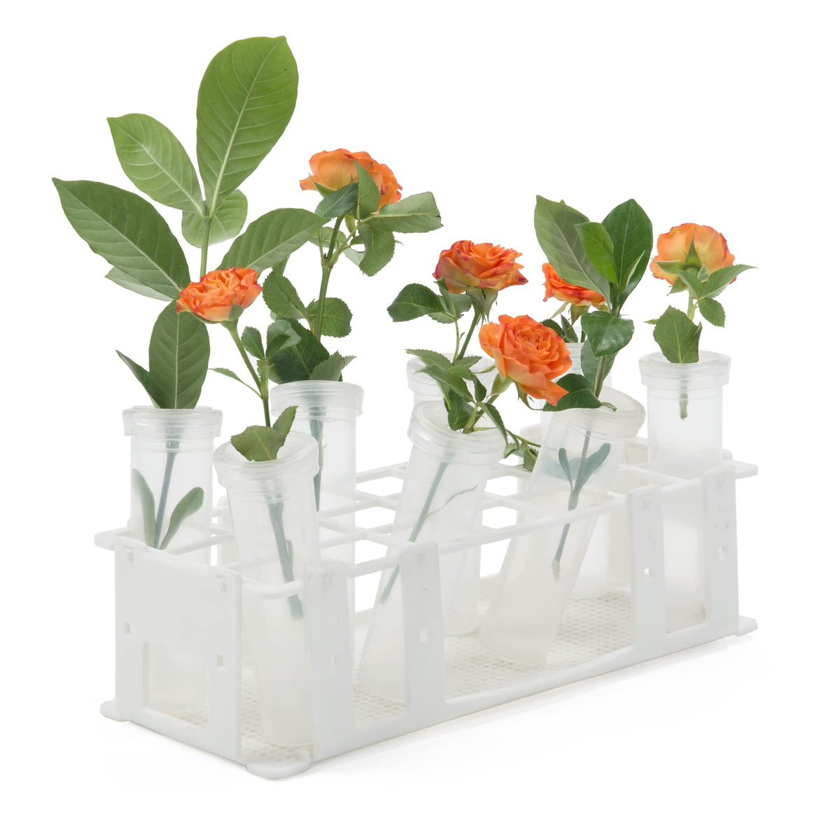 RESTCLOUD clear plastic tubes offer visibility for leaf placement