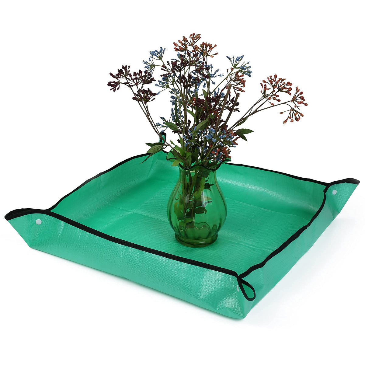 RESTCLOUD clear vinyl window view supports family-friendly butterfly watching during metamorphosis.