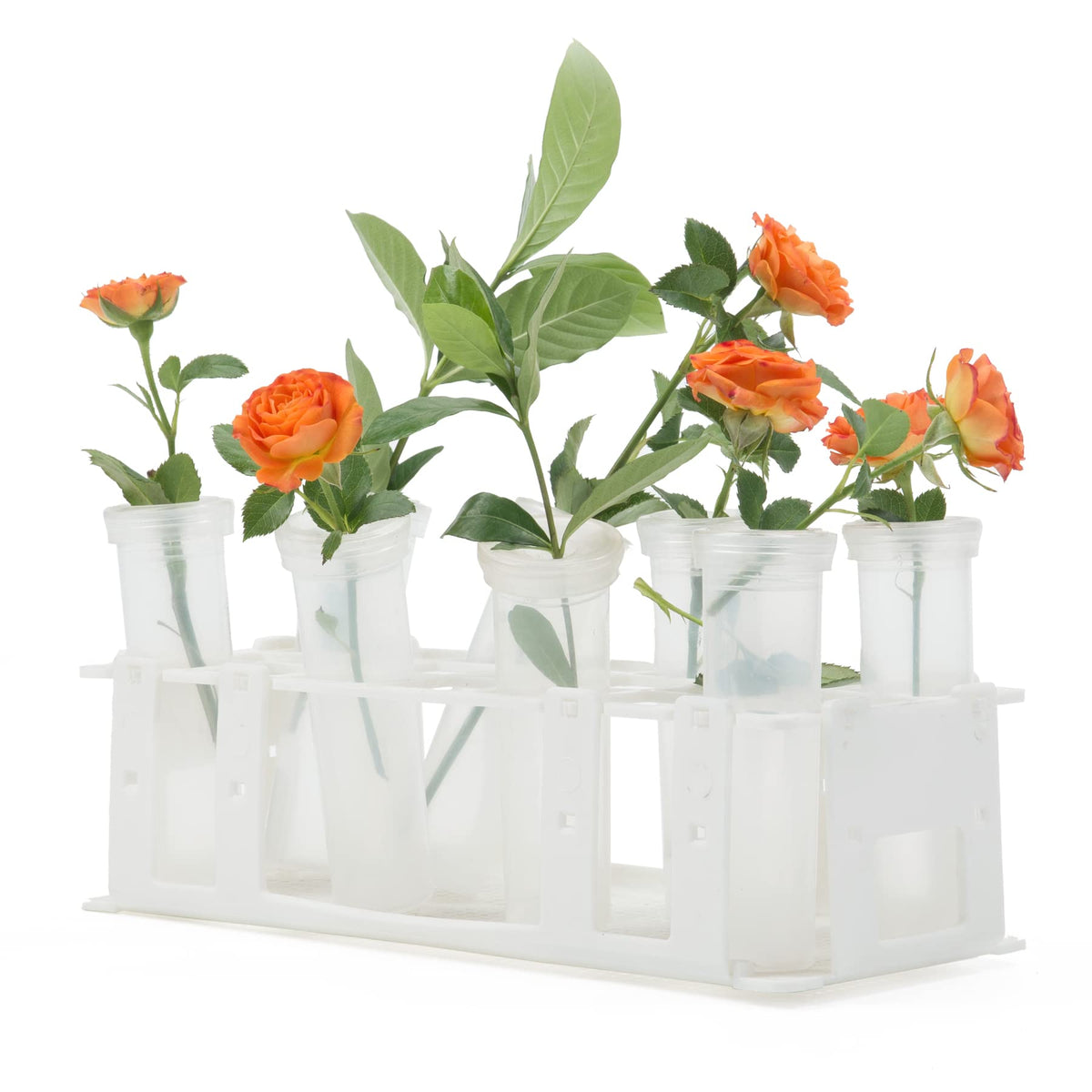 RESTCLOUD compact habitat compatibility shows flexible arrangement options