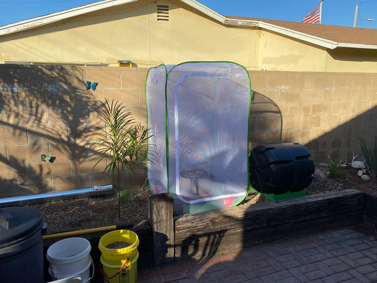 RESTCLOUD large crop cage protects potted plants and herbs from pests in outdoor spaces.