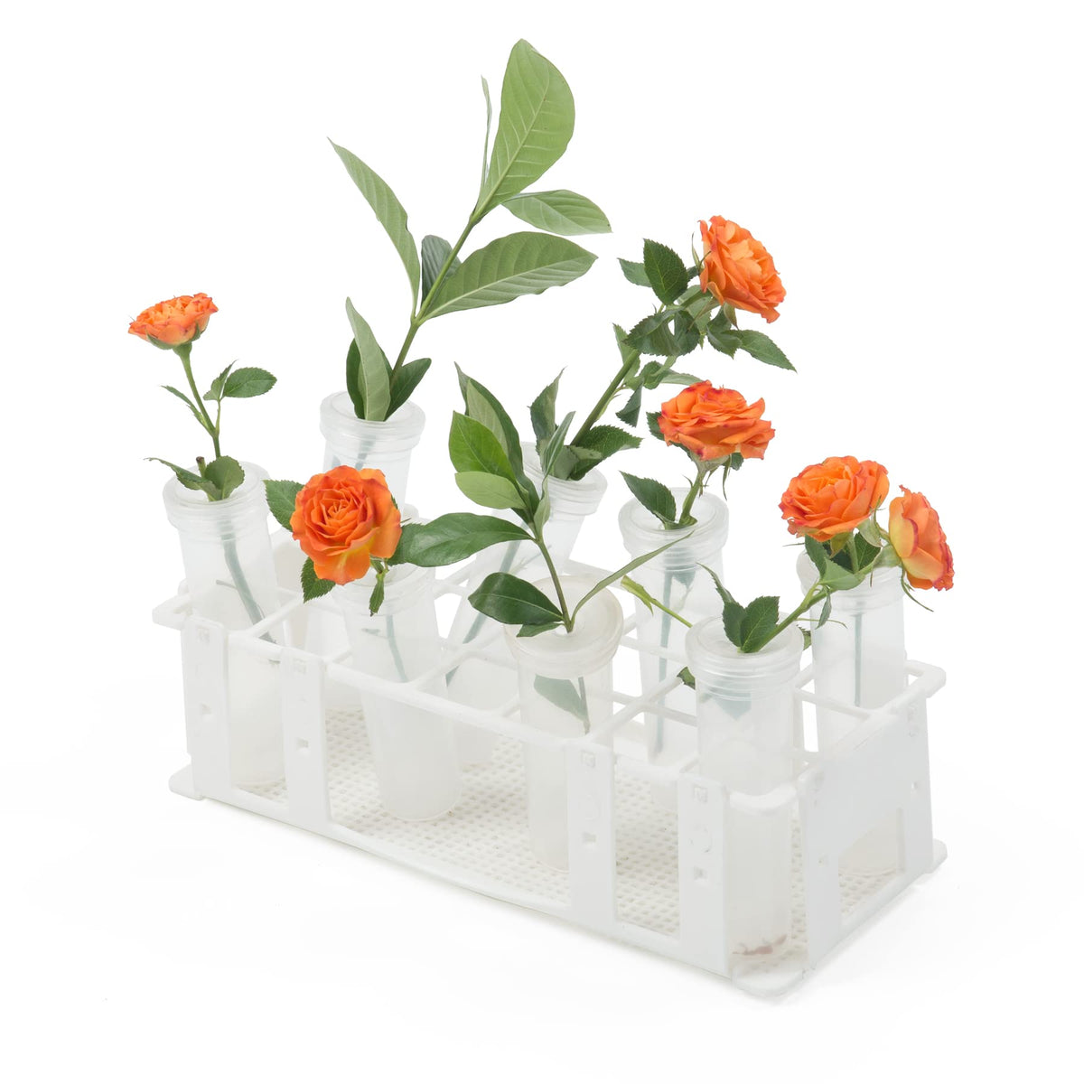 RESTCLOUD monarch caterpillar care with integrated system for feeding tubes