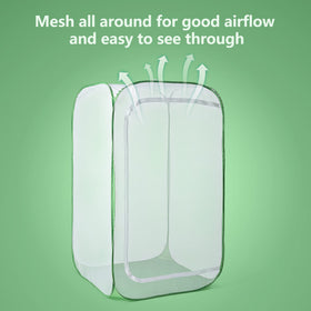 RESTCLOUD garden cage with 2 mm mesh guards fruit crops from birds while letting light through.