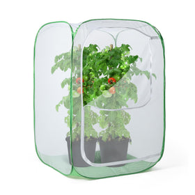 RESTCLOUD pop-up cage surrounds a tall plant for pest protection and easy harvest access.