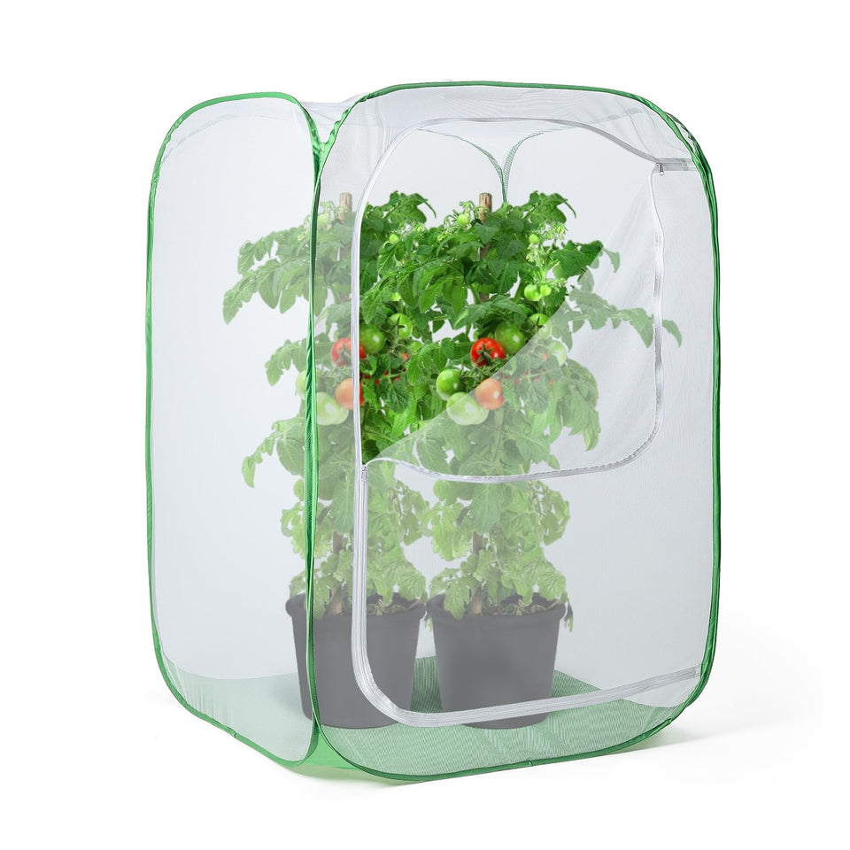 RESTCLOUD pop-up cage surrounds a tall plant for pest protection and easy harvest access.