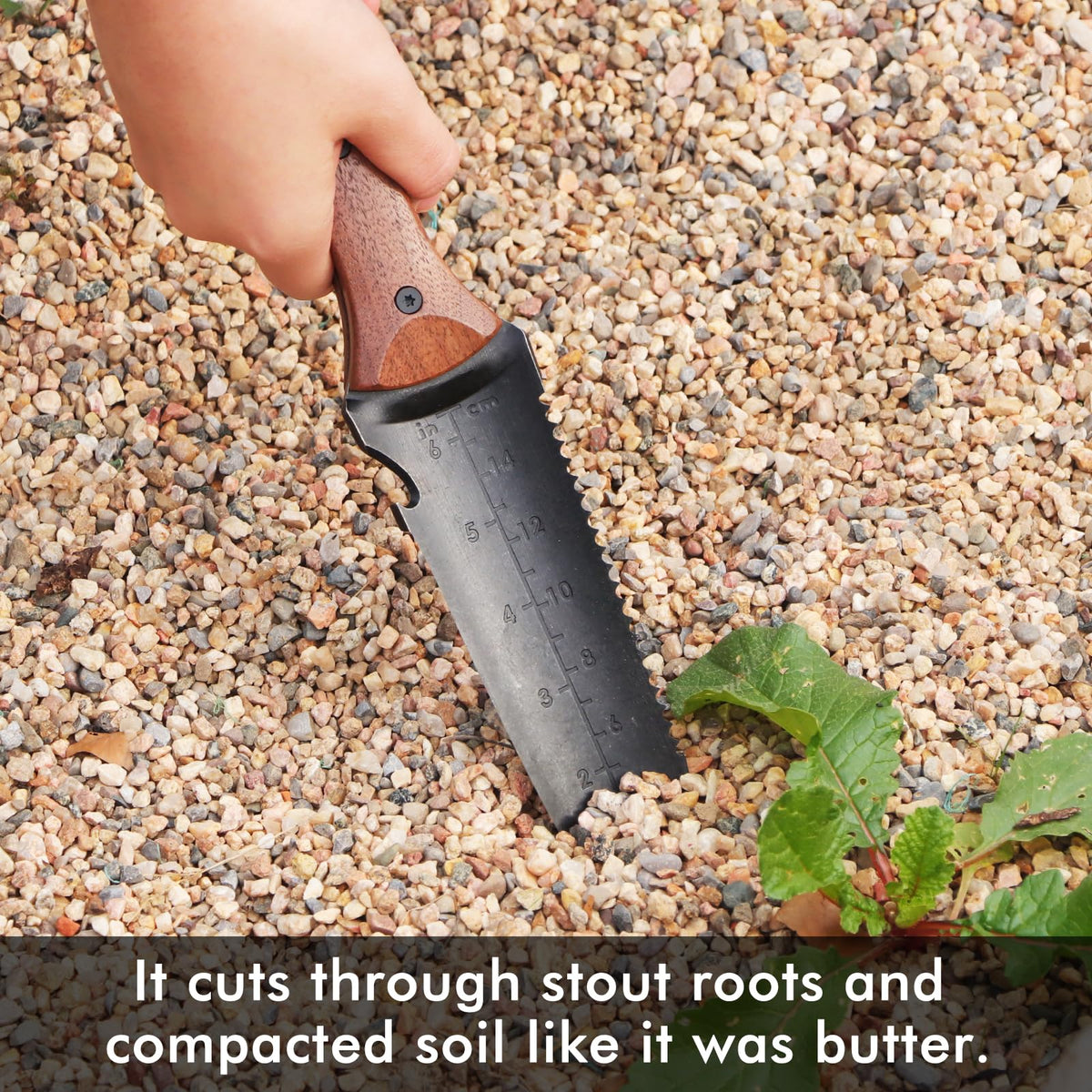 Restmo Hori Hori ergonomic walnut handle provides a comfortable grip