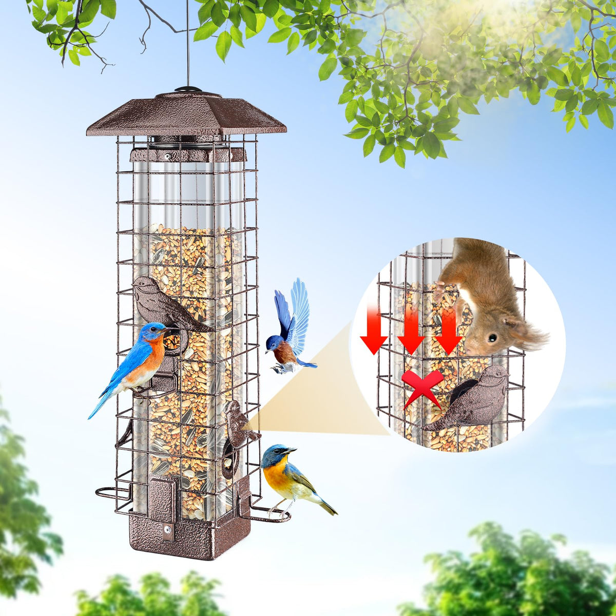 ReTang Squirrel-Proof Feeder with four ports keeps seeds accessible to cardinals and chickadees