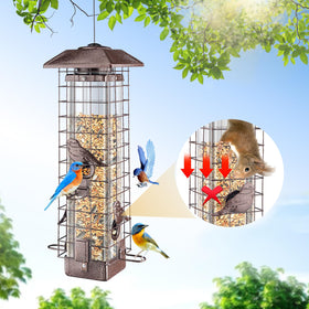ReTang Squirrel-Proof Feeder with four ports keeps seeds accessible to cardinals and chickadees