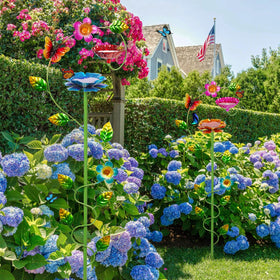 Two-pack setup brings symmetrical color to your yard.