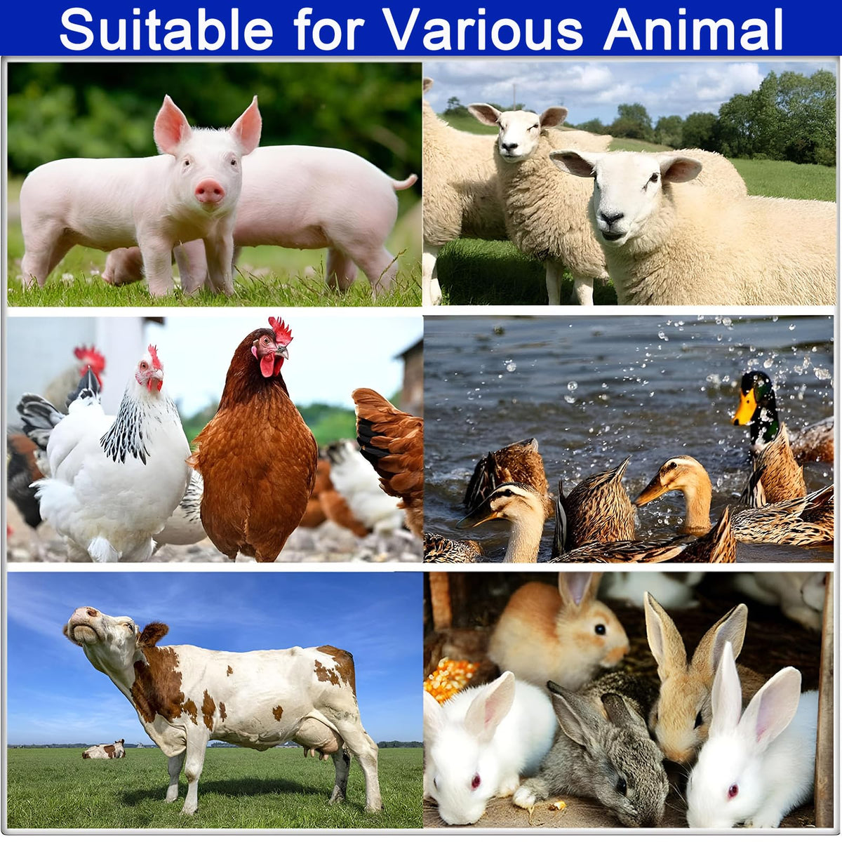 ReuVibk suitable for chicken, pig, cow and more on busy farms.