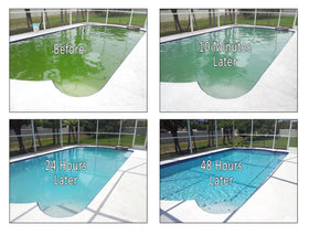 REVIVE pool algae remover action showing fast-acting treatment for algae control.