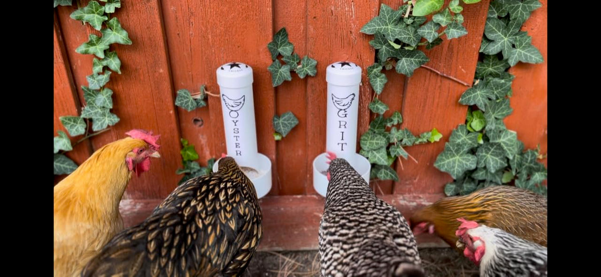 Revolutionary Chicken coop-mounted-feeder design fits multiple coop styles