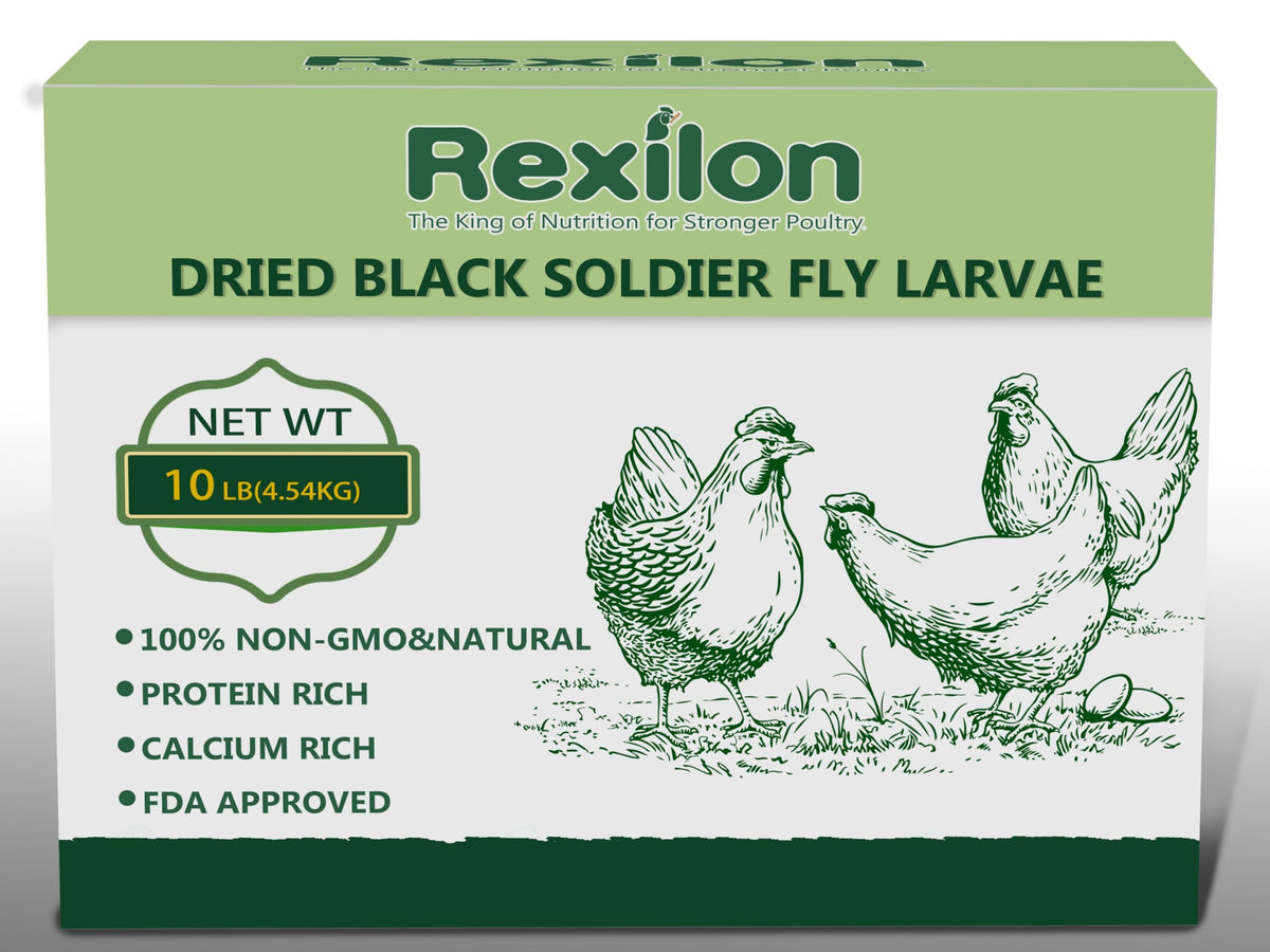 Rexilon dried BSF larvae bag shows premium chicken feed packaging