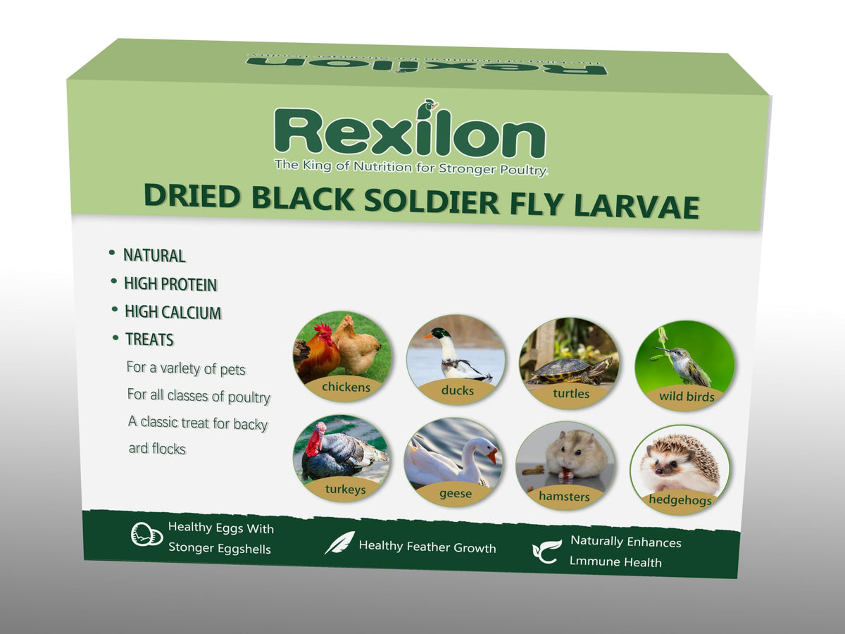 Rexilon larvae batch showcases premium quality and processing