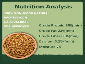 Rexilon dried BSF larvae texture emphasizes protein for poultry