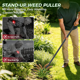RexWeed four-claw steel head grips deep roots for complete removal