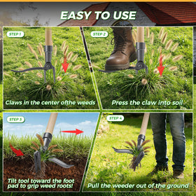 RexWeed dandelion and crabgrass removal in action highlights effective root pull