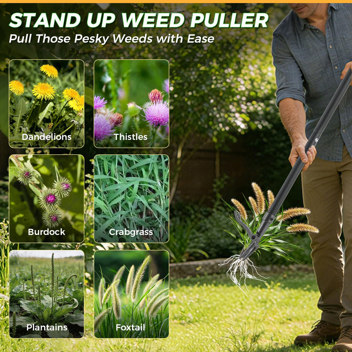 RexWeed ergonomic three-section pipes for durability and comfort