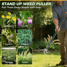 RexWeed ergonomic three-section pipes for durability and comfort