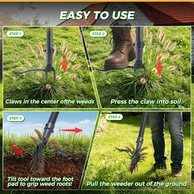 RexWeed root removal without chemicals to prevent regrowth