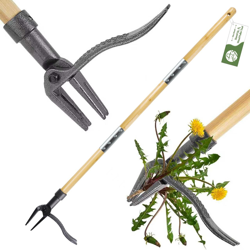 RexWeed weed puller tool with stand-up long handle for easy gardening